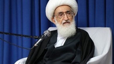 آية الله همداني : النظام السعودي ينتهج أفكار الجاهلية في حكمه
