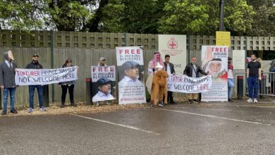 نشطاء يحتجون على دعوة حاكم البحرين إلى عرض الخيول في ويندسور